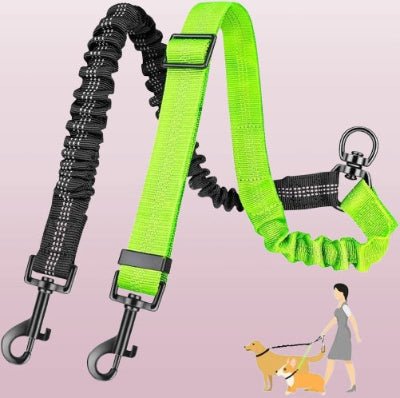 laisse double pour chien vert et noir avec mousquetons metaliques