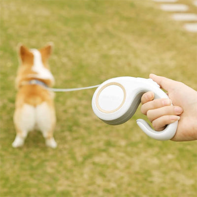 laisse enrouleur corgi parc poignee ergonomique blanche promenade chien