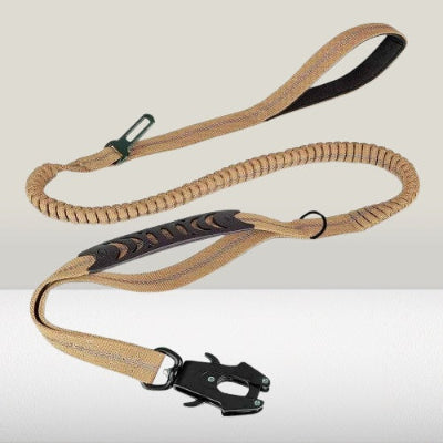 laisse pour chien beige tactique elastique mousqueton double poignee- esistant