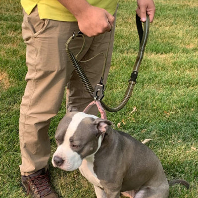 laisse pour chien double poignee pitbull gris blanc controle securite