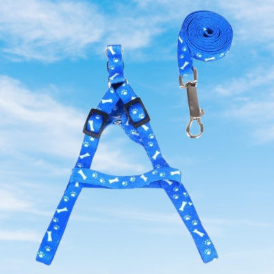laisse pour chien harnais bleu mousqueton ensemble complet motif