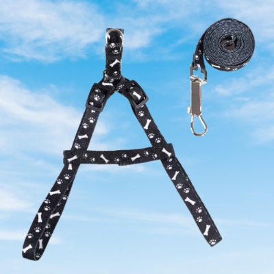 laisse pour chien harnais noir blanches mousqueton ensemble complet classique