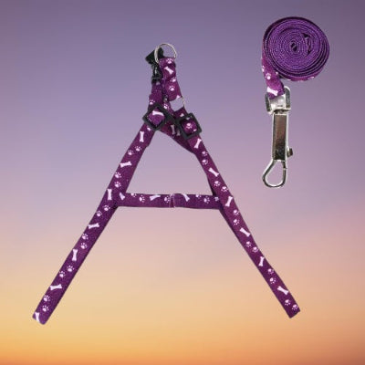 laisse pour chien harnais violet mousqueton ensemble complet premium