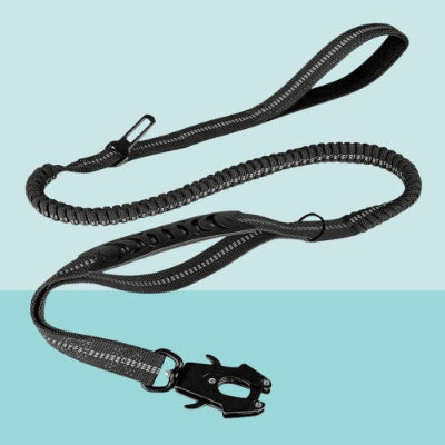 laisse pour chien noire elastique reflechissant mousqueton double poignee securite