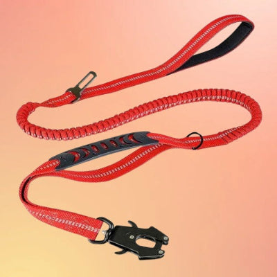 laisse pour chien rouge elastique mousqueton double poignee reflechissant premium