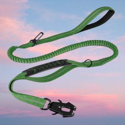 laisse pour chien verte elastique reflechissant mousqueton double poignee nature