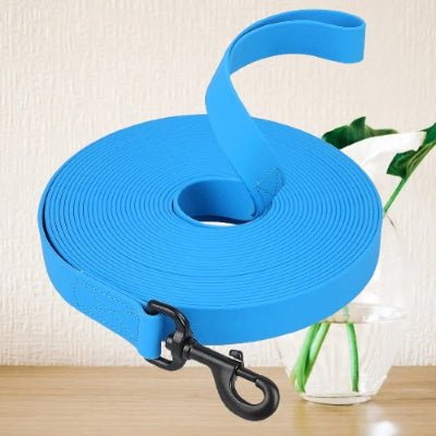 laisse pour chiens bleue longue et enroulee ideale pour plus de liberte en promenade