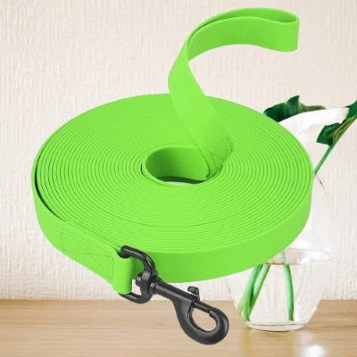 laisse pour chiens verte longue enroulee pour offrir plus d independance en balade