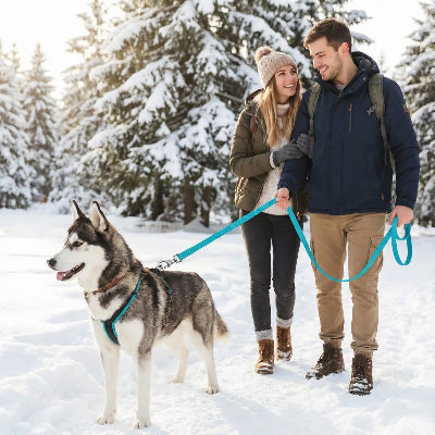 longe chien hiver neige couple husky randonnee montagne