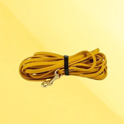 longe chien jaune moutarde enroulee mousqueton dore qualite premium resistant