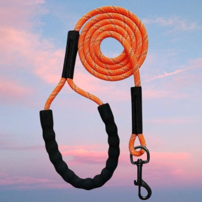 longe chien orange corde poignee rembourree mousqueton resistant premium