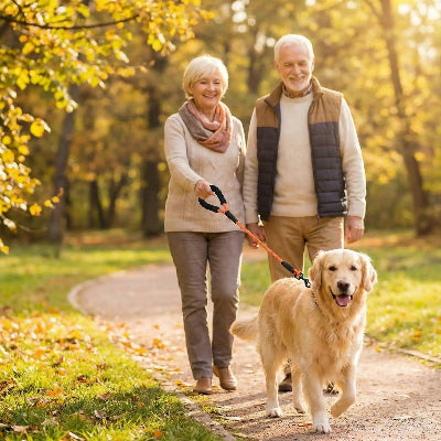 longe chien promenade golden retriever couple seniors automne parc