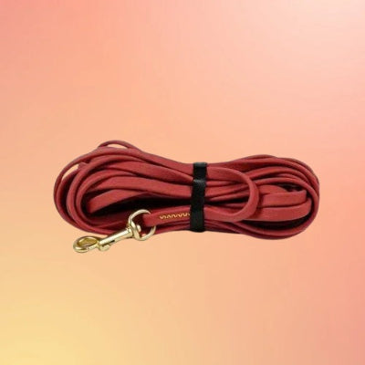 longe chien rouge enroulee mousqueton dore qualite premium resistant