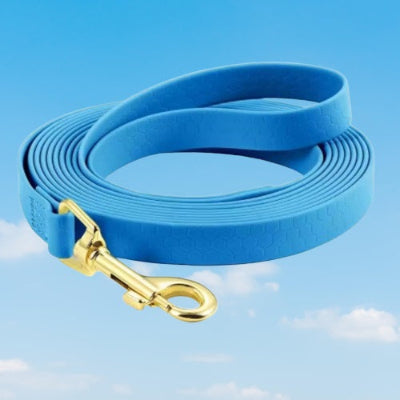 longe pour chien bleu ciel mousqueton dore resistant impermeable