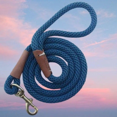 longe pour chien bleu tresse mousqueton dore poignee premium