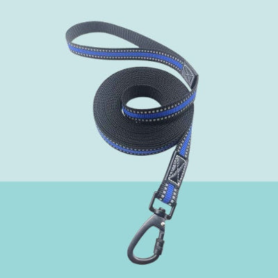 longe pour chien bleue reflechissante mousqueton metal qualite premium resistante