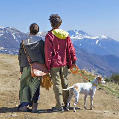 longe pour chien montagne randonnee aventure jack russell-alpes