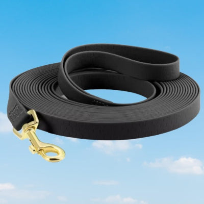 longe pour chien noir mousqueton dore texture antiderapante qualite 