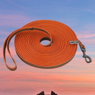 longe pour chien orange enroulee mousqueton poignee resistant longue visible securite