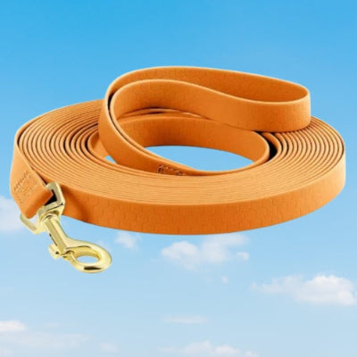 longe pour chien orange vif mousqueton dore caoutchouc souple