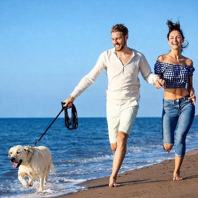 longe-pour-chien-plage-mer-couple-golden-retriever-promenade-vacances-ete
