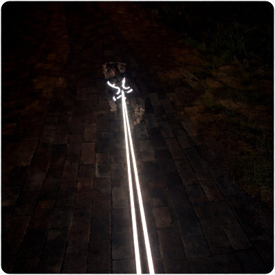 longe pour chien reflechissante nuit securite visibilite promenade nocturne