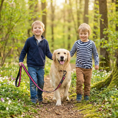 longe pour chien rose golden retriever enfants foret promenade nature