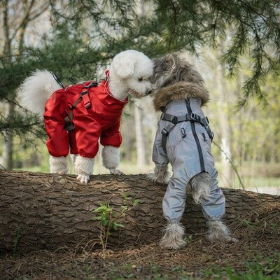 manteau chien action impermeable rouge gris harnais protection exterieur confort style