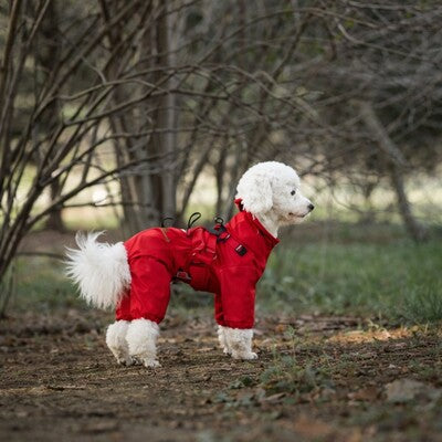 manteau chien action rouge impermeable harnais exterieur protection confort qualite