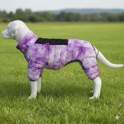 manteau chien collier impermeable violet aquarelle hiver grand chien matelasse