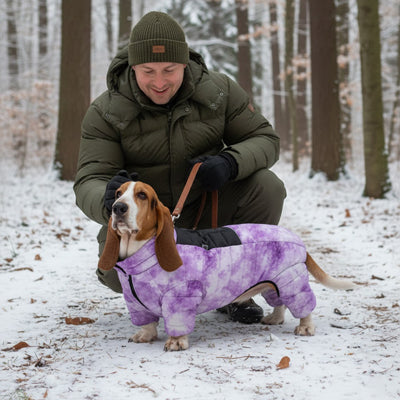 manteau chien collier violet aquarelle basset hound neige hiver maitre