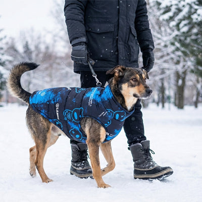manteau chien hiver bleu neige lamhcra impermeable chaud exterieur