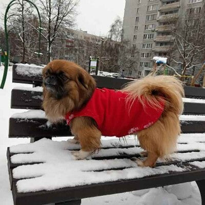 manteau chien hiver rouge pekinois neige vetement chaud exterieur resistant confortable premium