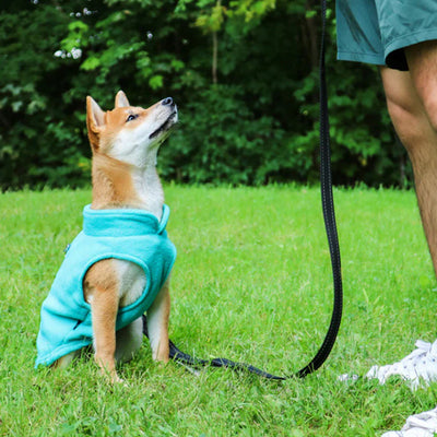 manteau chien hiver turquoise shiba inu promenade parc polaire chaud exterieur confortable premium