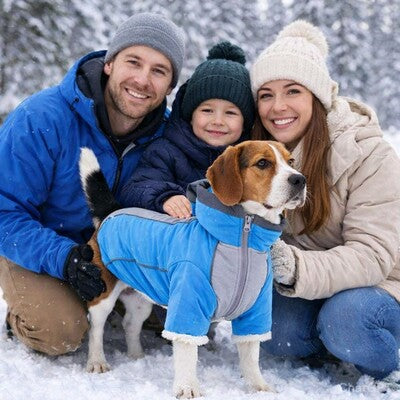 manteau chien impermeable beagle famille hiver neige bleu lifestyle bonheur