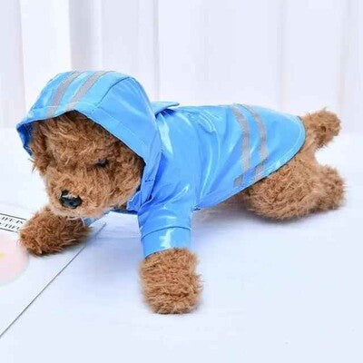 manteau chien impermeable bleu bandes reflechissantes capuche caniche roux