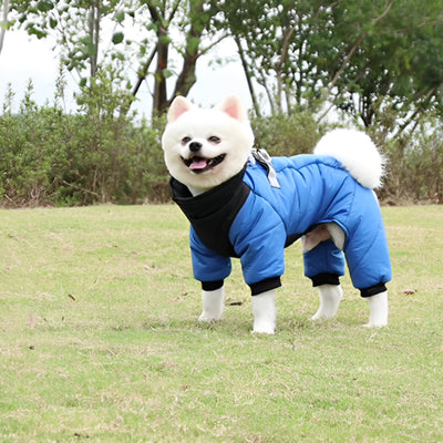 manteau chien impermeable bleu spitz quatre pattes jardin heureux combinaison matelasse nature