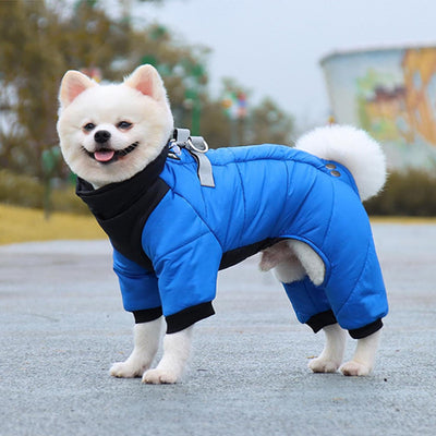 manteau chien impermeable bleu spitz quatre pattes matelasse combinaison hiver sourire exterieur