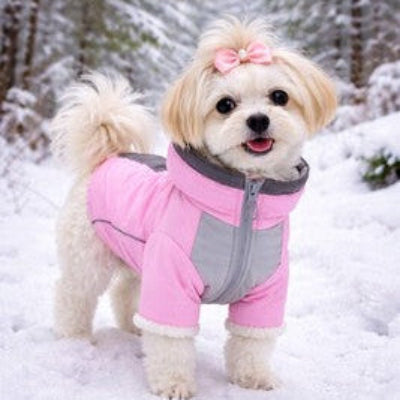 manteau chien impermeable rose petit chien hiver neige foret mignon accessoire