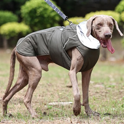 manteau chien pluie grand chien vert trois quarts arrière parc