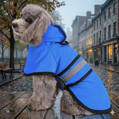 Manteau de pluie pour chien bleu réfléchissant caniche ville pavé
