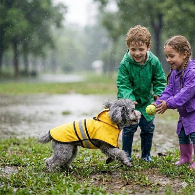 Manteau de pluie pour chien jaune enfants jeu parc pluie caniche