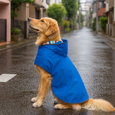 manteau impermeable pour chien bleu golden retriever pluie ville rue urbain
