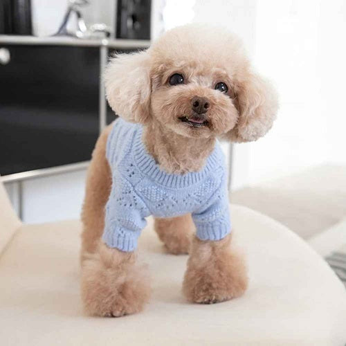 Manteau laine chien pull tricot bleu caniche toy doux hiver