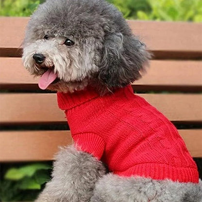 Manteau laine pour chien rouge tricot torsadé petit chien