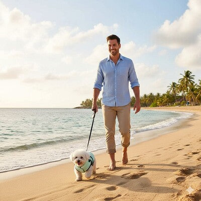 manteau petit chien harnais integre plage bichon promenade ete impermeable