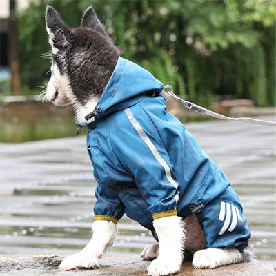 manteau pluie chien border collie bleu canard capuche laisse pluie