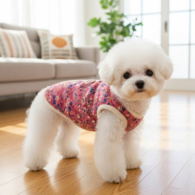 manteau pour chien bichon blanc rose floral interieur lumineux adorable confort premium elegant