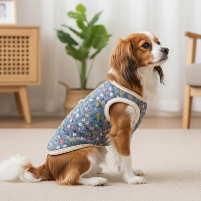 manteau pour chien cavalier king charles floral bleu interieur moderne confort elegant premium style