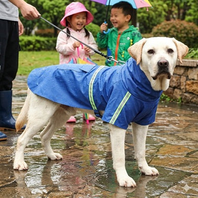 manteau pour chien pluie bleu labrador enfants promenade imperméable réfléchissant